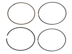 Namura Replacement Piston Ring For Gas MC250 2021-2023 New. Price: $19.83.