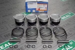 Ycp Vitara Pistons With Rings Sohc Civic 75.5MM 7.3:1 D16A6 / 7.8:1 D16Y8 New. Price: $159.99.