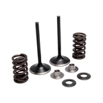 Kibblewhite Stainless Steel Intake Valve Kit New. Price: $166.27.