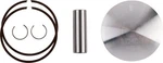 Wossner 72.96MM Dual Ring Piston Kit For '22-24 Beta 300RR/XTRAINER (8324DB) New. Price: $162.52.