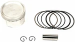 Bbr Piston Kit 195CC Bore 411-HCF-1911 New. Price: $157.95.