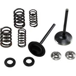 Kibblewhite 30-33250 Stainless Steel Conversion Valve And Spring Kit New. Price: $185.23.