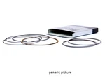 Namura Piston Rings Yamaha 350 4-STROKE Atv's Standard Bore 83.00MM NA-40005R New. Price: $23.91.