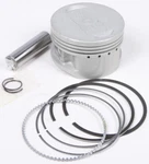 Pro X Piston Kit 01.2487.100 New. Price: $109.76.