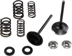 Kibblewhite Stainless Steel Conversion Valve And Spring Kit 30-33250 New. Price: $178.99.