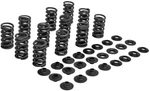 Kpmi Racing Valve Spring Kit 80-81700 New. Price: $159.99.