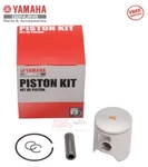 Yamaha 2019 YZ85 Genuine Oem Piston Kit Ring Set 5PA-11631-10-C0 "c" Ur Green New. Price: $95.95.