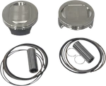 Revolution Perf Piston Kit 117" Dish RP301-119W New. Price: $529.95.