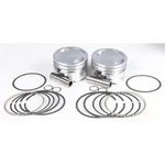 Pistons Cast Xl 883 1200 10.0:1 .050 KB272.005 New. Price: $235.81.
