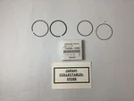 Kawasaki Oem 13008-1062 Piston Ring Set From Japan New. Price: $54.00.