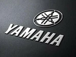 Yamaha Circlip Inner 93450-14088-00 Moto Badger Grizzly Raptor 80 New. Price: $24.99.