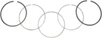Wsm Ring Set .75 Mm 51-228-06 New. Price: $31.27.