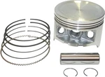 Wsm 50-226-06K Piston Kit .75 Mm New. Price: $102.54.