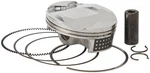 Vertex 23867A New. Price: $295.16.