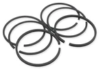 Hastings Moly Ring Set .040IN. Oversize 2M6164040 New. Price: $48.45.