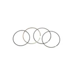 Moose Piston Ring Set 0912-0756 New. Price: $15.95.