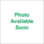 Moose Racing MPX1090C High Performance 4-STROKE Piston Kits New. Price: $386.95.