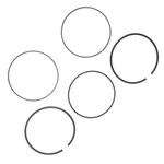 87.45MM Piston Suzuki LT-F500F Quadrunner LT-A500F Quadmaster 490CC Ring Set New. Price: $81.26.