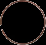 Moose Racing Hard-parts 0912-0845 Ring Lower SX150 New. Price: $39.95.