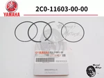 Yamaha Genuine 2006 2020 YZF-R6 Piston Rings Set 2C0-11603-00-00 New. Price: $45.99.
