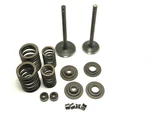 Engine Repair Complete Valve Set Fit Yamaha Grizzly Kodiak Wolverine Rhino 450 New. Price: $55.00.