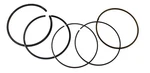 Namura Standard Bore Piston Rings Fits Honda TRX400EX & TRX400X Sportrax 85MM New. Price: $19.95.