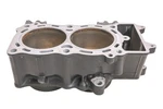 08 Kawasaki Versys Cylinder KLE650 Used. Price: $599.99.
