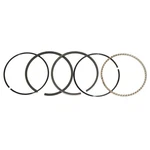 Kawasaki 13025-7003 Piston Ring Set, L, 0.5 New. Price: $45.29.