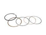 Namura Piston Ring Set 95.00MM NA-40007R New. Price: $22.06.