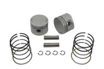 80 Inch Evolution Piston Kit For Harley-davidson New. Price: $124.99.