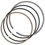 Caltric 13008-0028 Piston Rings For Kawasaki KX250F 2004-2019 New. Price: $15.00.