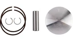 Wossner Piston Kit Size 72.96MM #8324DB Beta 300 Rr 2T/XTRAINER New. Price: $157.20.
