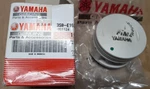 Oem Yamaha 3S0-E1631-00-A0 Piston Assembly New. Price: $17.99.