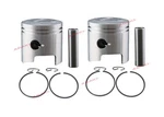For Suzuki DT9.9 DT15 Piston Kit (12110-93130 12110-93140 Std + Ring 2MM) X2 New. Price: $76.00.