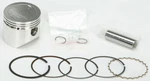 Wiseco Light Weight Forged Piston Kit Armor Glide Coating 4666M05350 Made Usa New. Price: $152.90.