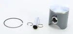 Pro X Piston Kit 01.2217.C New. Price: $109.76.