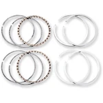 Hastings Replacement Piston Rings Fits H-d Evolution 6164 New. Price: $46.04.
