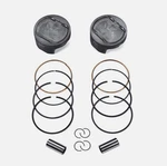 2017-25 Harley Touring Oem Screamin Eagle Piston Kit 4.310"BX4.5"S 21900099 New. Price: $324.99.
