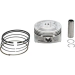 Vertex Cast Replica Piston Kit 81.95/STD For Can-am 24566 New. Price: $121.46.