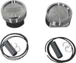 Revolution Performance Piston Kit 125" Dish RP301-414W New. Price: $468.99.