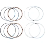 Hastings DS-750623 6482030 Replacement Piston Rings 3.437" + New. Price: $56.95.