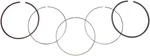 Wsm Ring Set .75 Mm 51-228-06 New. Price: $38.99.
