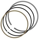 Caltric Piston Rings For Honda CRF250R 2004-2005 2008-2009 / CRF250X 2004-2006 New. Price: $24.50.
