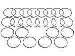2001, 2005, 2007-2008 Ford F150 Piston Ring Hastings 58396RPSH New. Price: $63.94.