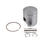 New Piston Kit 66.94MM 1989-2000 Suzuki Rmx 250 249CC Enduro 12110-29E20-0F0. Price: $162.50.