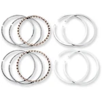 Hastings DS-750830 2M6127 Replacement Piston Rings 3.498" New. Price: $82.95.