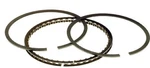 Hastings Piston Rings .005" Oversize 6164005 New. Price: $65.50.