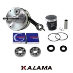 Rebuild Kit Crankshaft Piston Main Bearing Oil Seal For Kawasaki KX250 1992 2004 New. Price: $322.00.