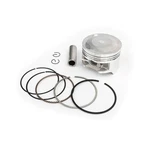 Engine Piston Ring Kit 73MM Std For Honda 1996-2004 New. Price: $39.71.