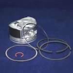 New Briggs And Stratton Oem Piston ASSEMBLY-020 Part Number 793648. Price: $178.99.